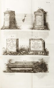Jean-Francois Albanis  Beaumont : Description des Alpes grecques et cottiennes ou tableau historique et statistique de la Savoie  - Asta Libri, autografi e stampe - Associazione Nazionale - Case d'Asta italiane