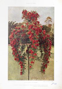 Modelli d'arte decorativa  - Asta Libri, autografi e stampe - Associazione Nazionale - Case d'Asta italiane