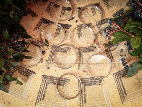 Serie di dieci sottobicchieri in cristallo e argento  - Asta Arredi e Dipinti dal Castello di Gamberaia a Firenze - Associazione Nazionale - Case d'Asta italiane