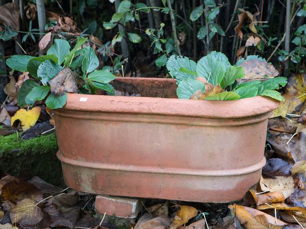 Due vasi da giardino in terracotta di Galestro  - Asta Arredi e Dipinti dal Castello di Gamberaia a Firenze - Associazione Nazionale - Case d'Asta italiane
