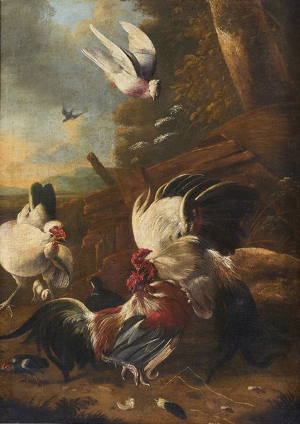 ARTISTA FIAMMINGO DEL XVII SECOLO : Galli che lottano e altri volatili  - Asta Asta 387 | ARTE ANTICA E DEL XIX SECOLO - DAL RINASCIMENTO AL SIMBOLISMO: OPERE DA COLLEZIONI ITALIANE Tradizionale - Associazione Nazionale - Case d'Asta italiane