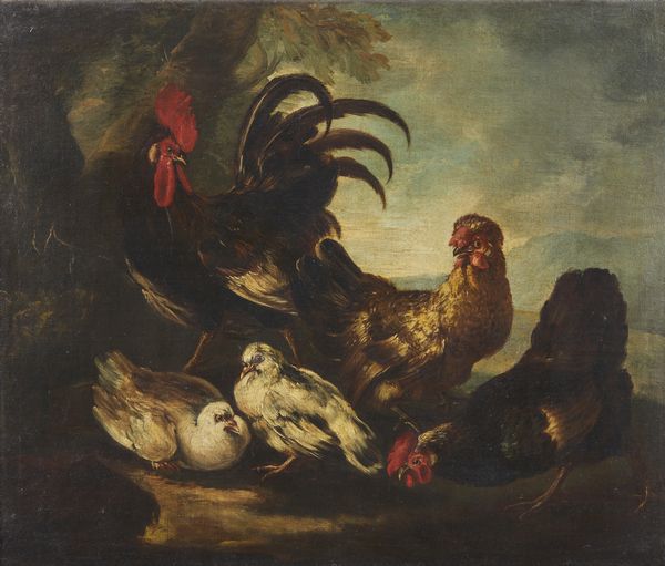 CRIVELLI DETTO IL CRIVELLONE ANGELO MARIA  (1650 - 1730) : Coppia di dipinti raffiguranti volatili  - Asta Asta 387 | ARTE ANTICA E DEL XIX SECOLO - DAL RINASCIMENTO AL SIMBOLISMO: OPERE DA COLLEZIONI ITALIANE Tradizionale - Associazione Nazionale - Case d'Asta italiane