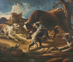 PHILIPP PETER ROOS DETTO ROSA DA TIVOLI  (1657 - 1706) - Cani che attaccano un toro