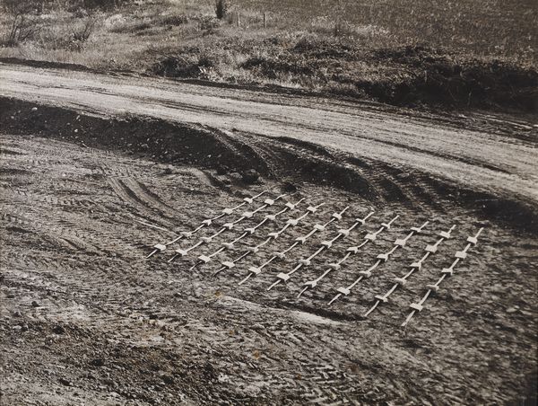 PANE GINA (1939 - 1990) : Terre prot�g�e.  - Asta Asta 388 | ARTE MODERNA E CONTEMPORANEA Tradizionale - Associazione Nazionale - Case d'Asta italiane