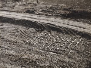 PANE GINA (1939 - 1990) - Terre prot�g�e.