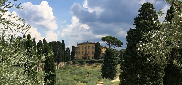 COLLEZIONE ACTON, VILLA LA PIETRA NEW YORK UNIVERSITY -Firenze  - Asta Asta AIRC - Associazione Nazionale - Case d'Asta italiane