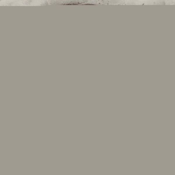 Coppia di salver. Argento fuso, sbalzato e cesellato. Londra 1759. Marchi dellargentiere IC (John Carter documentato dal 1797, probabile autore degli stemmi incisi in epoca posteriore)  - Asta Argenti da Collezione | Antichi - Associazione Nazionale - Case d'Asta italiane