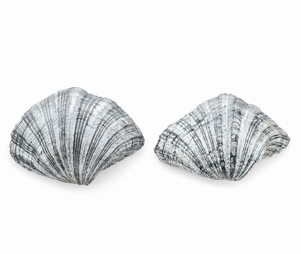 Due conchiglie rivestite in argento. Argenteria artistica del XX-XXI secolo  - Asta Argenti da Collezione | Antichi - Associazione Nazionale - Case d'Asta italiane