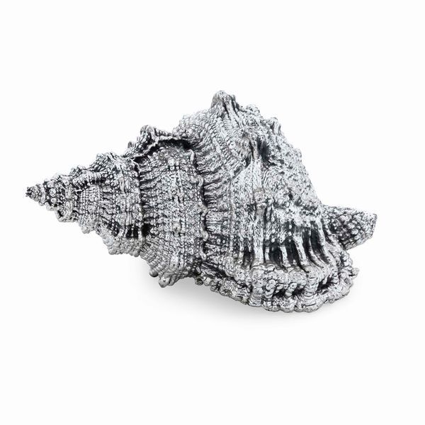 Conchiglia rivestita in argento. Argenteria artistica del XX-XXI secolo  - Asta Argenti da Collezione | Antichi - Associazione Nazionale - Case d'Asta italiane