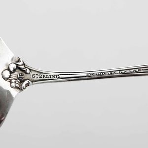 Dodici cucchiai commemorativi. Argento fuso, sbalzato e cesellato. Differenti manifatture (Paesi Bassi, Inghilterra e altri) e differenti epoche dal XVIII al XX secolo  - Asta Argenti da Collezione | Antichi - Associazione Nazionale - Case d'Asta italiane