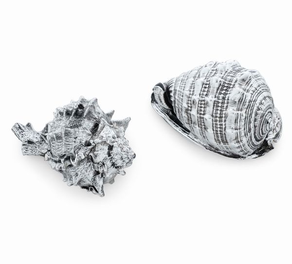 Due conchiglie rivestite in argento. Argenteria artistica del XX-XXI secolo  - Asta Argenti da collezione | XX secolo - Associazione Nazionale - Case d'Asta italiane
