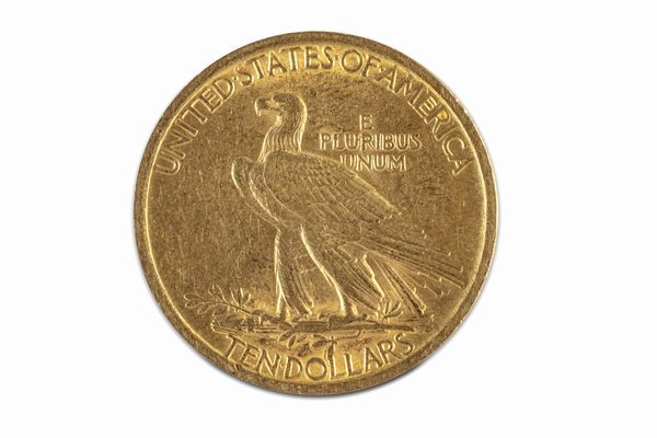Stati Uniti d'America : 10 Dollari Indian Head  - Asta Numismatica - Associazione Nazionale - Case d'Asta italiane