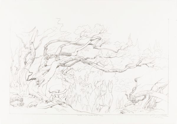 Ted Nasmith : Elves in the Woody End  - Asta L'arte de ''Il Signore degli Anelli'' - Associazione Nazionale - Case d'Asta italiane