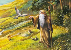 Angelo Montanini - Radagast il mago