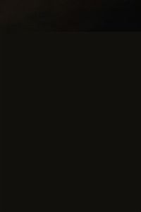 Coppia di grandi vasi a doppia ansa in porcellana a smalti policromi con figure di draghi su fondo rosso, Cina, XX secolo  - Asta Arte Orientale - Associazione Nazionale - Case d'Asta italiane