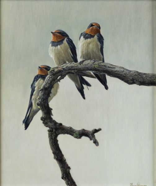 MARCO RAMASSO Torino-1964 : Giovani rondini 2008  - Asta  Dipinti, argenti e antiquariato - Associazione Nazionale - Case d'Asta italiane