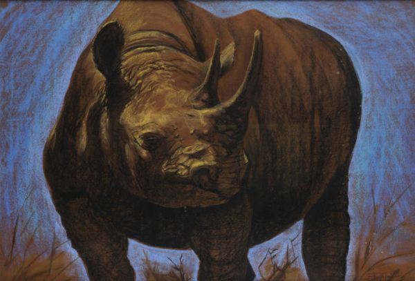 PITTORE NON IDENTIFICATO : Rinoceronte 1969  - Asta  Dipinti, argenti e antiquariato - Associazione Nazionale - Case d'Asta italiane