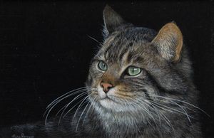 MARCO RAMASSO Torino-1964 - Vibrisse