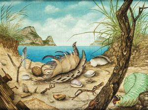 MANFRED EBSTER 1941 - 2012 - Granchio e conchiglie 1974