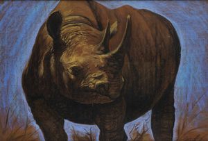 PITTORE NON IDENTIFICATO - Rinoceronte 1969