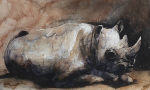 PITTORE NON IDENTIFICATO - Rinoceros 2006