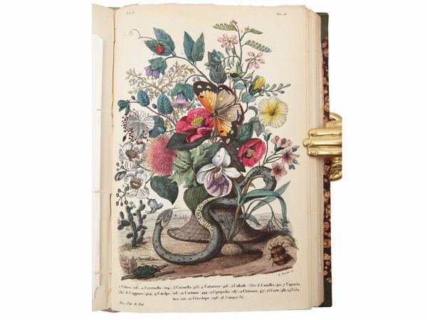 Ercole Marenesi : Dizionario pittoresco della storia naturale e delle manifatture  - Asta La Collezione Bucciarelli: libri antichi ed incunaboli - Associazione Nazionale - Case d'Asta italiane