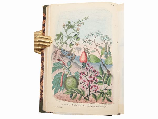 Ercole Marenesi : Dizionario pittoresco della storia naturale e delle manifatture  - Asta La Collezione Bucciarelli: libri antichi ed incunaboli - Associazione Nazionale - Case d'Asta italiane