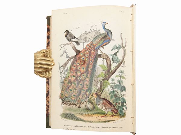 Ercole Marenesi : Dizionario pittoresco della storia naturale e delle manifatture  - Asta La Collezione Bucciarelli: libri antichi ed incunaboli - Associazione Nazionale - Case d'Asta italiane