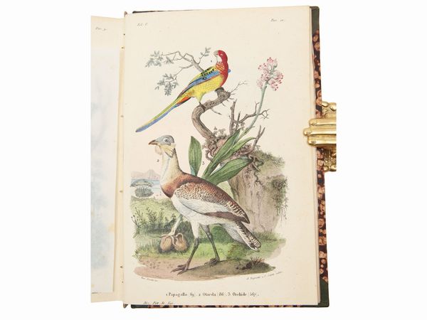 Ercole Marenesi : Dizionario pittoresco della storia naturale e delle manifatture  - Asta La Collezione Bucciarelli: libri antichi ed incunaboli - Associazione Nazionale - Case d'Asta italiane