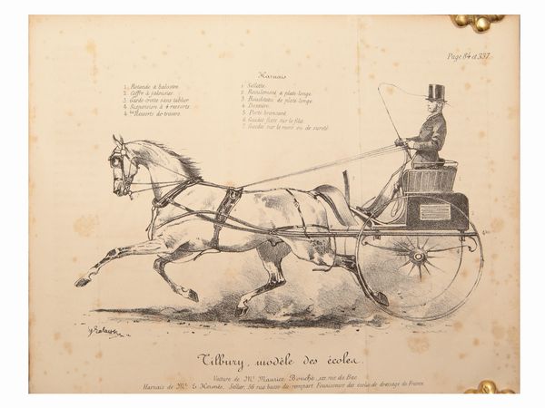 Louis Edme: vicomte de Montigny : Manuel des piqueurs, cochers, grooms et palefreniers...  - Asta La Collezione Bucciarelli: libri antichi ed incunaboli - Associazione Nazionale - Case d'Asta italiane