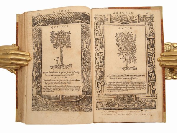 ANDREA ALCIATI : D. And. Alciati Emblemata denuo ab ipso autore recognita  - Asta La Collezione Bucciarelli: libri antichi ed incunaboli - Associazione Nazionale - Case d'Asta italiane