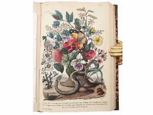Ercole Marenesi : Dizionario pittoresco della storia naturale e delle manifatture  - Asta La Collezione Bucciarelli: libri antichi ed incunaboli - Associazione Nazionale - Case d'Asta italiane