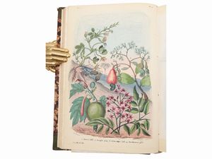 Ercole Marenesi : Dizionario pittoresco della storia naturale e delle manifatture  - Asta La Collezione Bucciarelli: libri antichi ed incunaboli - Associazione Nazionale - Case d'Asta italiane