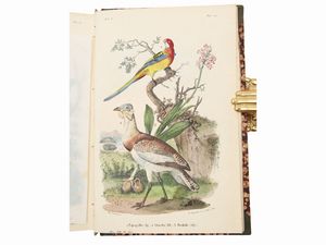 Ercole Marenesi : Dizionario pittoresco della storia naturale e delle manifatture  - Asta La Collezione Bucciarelli: libri antichi ed incunaboli - Associazione Nazionale - Case d'Asta italiane