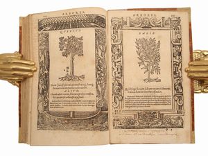 ANDREA ALCIATI : D. And. Alciati Emblemata denuo ab ipso autore recognita  - Asta La Collezione Bucciarelli: libri antichi ed incunaboli - Associazione Nazionale - Case d'Asta italiane