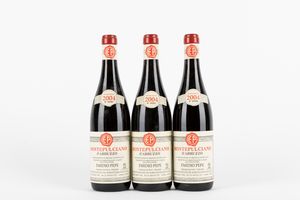 Abruzzo - Emidio Pepe Montepulciano d'Abruzzo (3 BT)