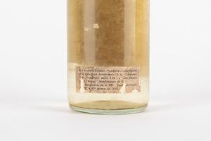 Cuba : Havana Club Jose Arechabala - Imbottigliamento Pre Fidel Castro  - Asta Vini e distillati - Associazione Nazionale - Case d'Asta italiane