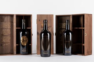 Trentino - Alto Adige - Verticale San Michele Appiano Appius (3 BT)