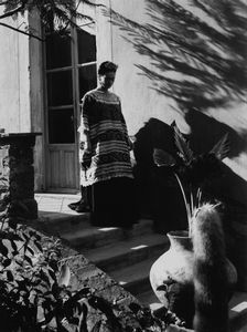 Leo Matiz - Frida, escaleras y planta en La Casa Azul