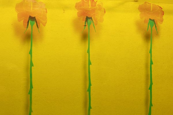 GINO MAROTTA : Fiori artificiali  - Asta Arte Moderna e Contemporanea - Associazione Nazionale - Case d'Asta italiane