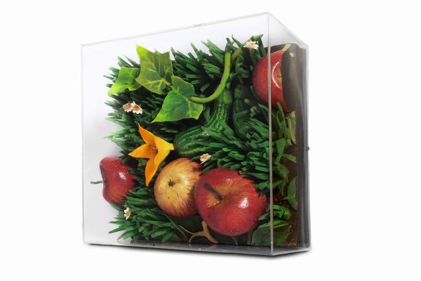 Piero Gilardi : Mele e zucchine  - Asta Arte Moderna e Contemporanea - Associazione Nazionale - Case d'Asta italiane