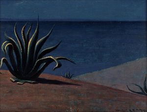 Walter Lazzaro - Agave in Calabria