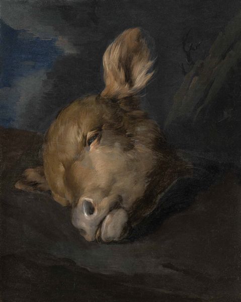 Scuola spagnola della seconda met� del XVIII secolo Testa di vitello  - Asta Old Masters - Associazione Nazionale - Case d'Asta italiane