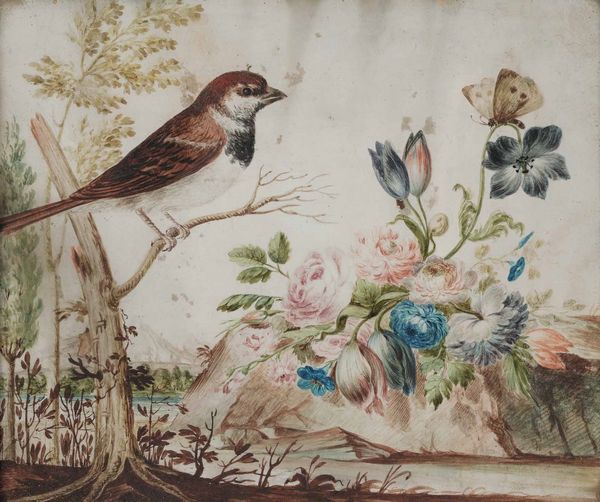 Scuola tedesca del XVIII secolo Soggetti naturalistici  - Asta Old Masters - Associazione Nazionale - Case d'Asta italiane