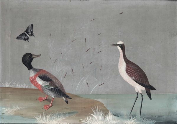 Vittorio Raineri, : Paesaggi con volatili, fiori, insetti e vegetazione  - Asta Old Masters - Associazione Nazionale - Case d'Asta italiane