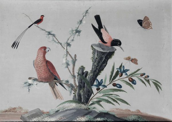 Vittorio Raineri, : Paesaggi con volatili, fiori, insetti e vegetazione  - Asta Old Masters - Associazione Nazionale - Case d'Asta italiane