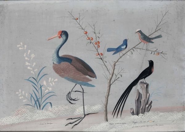 Vittorio Raineri, : Paesaggi con volatili, fiori, insetti e vegetazione  - Asta Old Masters - Associazione Nazionale - Case d'Asta italiane