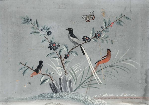 Vittorio Raineri, : Paesaggi con volatili, fiori, insetti e vegetazione  - Asta Old Masters - Associazione Nazionale - Case d'Asta italiane