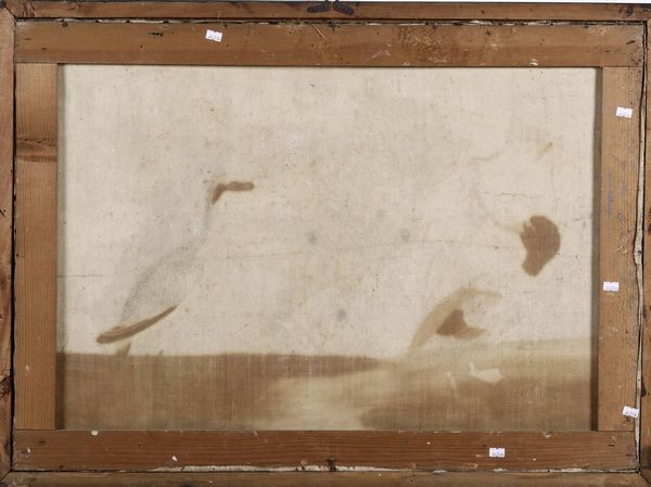 Vittorio Raineri, : Paesaggi con volatili, fiori, insetti e vegetazione  - Asta Old Masters - Associazione Nazionale - Case d'Asta italiane