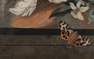 Scuola del XVIII secolo Nature morte con composizioni di fiori, frutti, uccellini e farfalle  - Asta Old Masters - Associazione Nazionale - Case d'Asta italiane